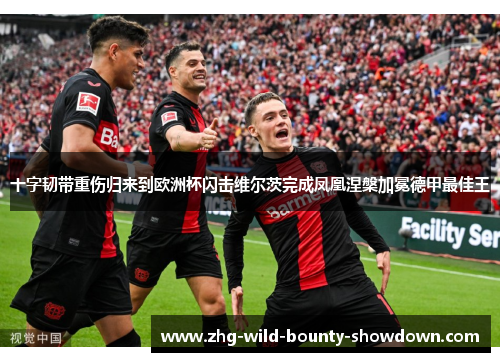 十字韧带重伤归来到欧洲杯闪击维尔茨完成凤凰涅槃加冕德甲最佳王